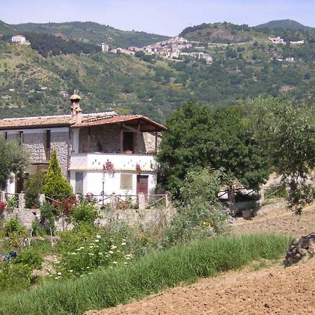 Agriturismo Acampora Villa Cerchiara di Calabria Dış mekan fotoğraf