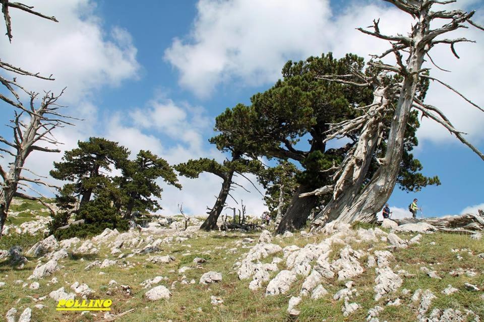 Agriturismo Acampora Villa Cerchiara di Calabria Dış mekan fotoğraf